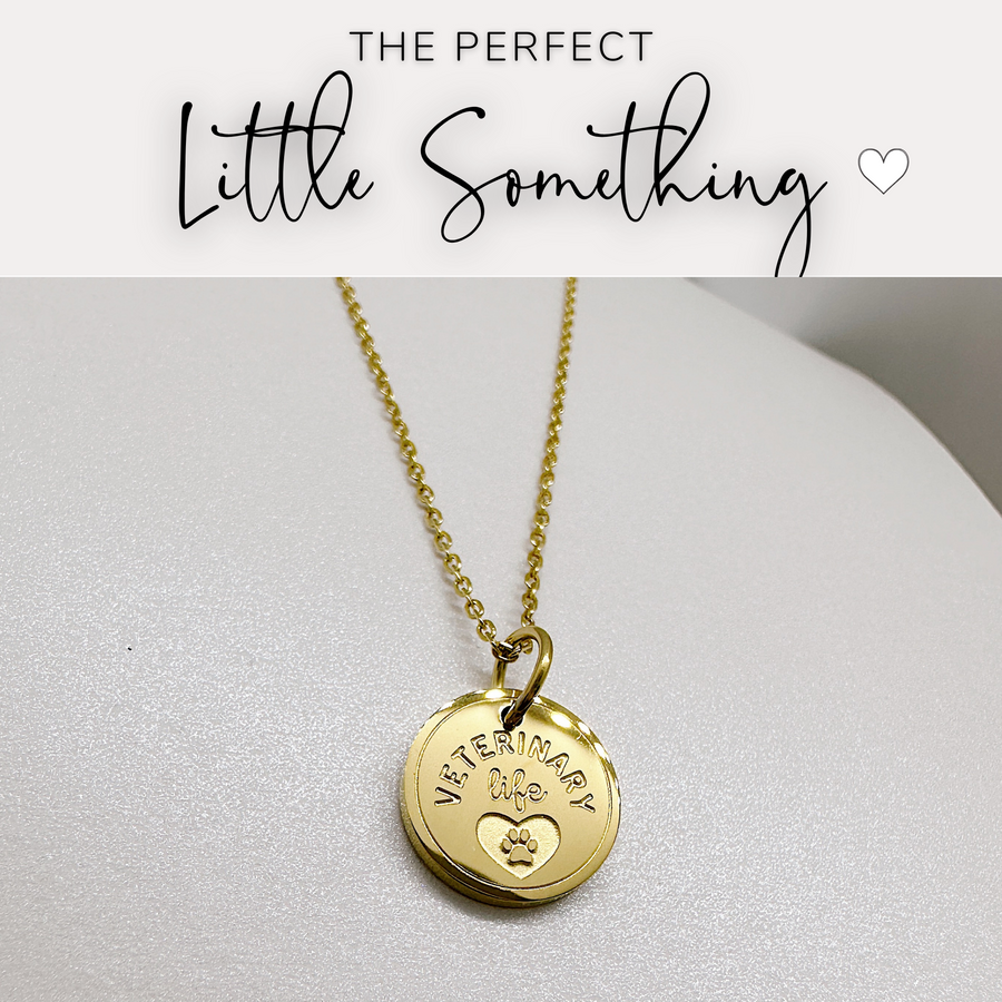 That perfect little something, veterinary disc charm necklace.